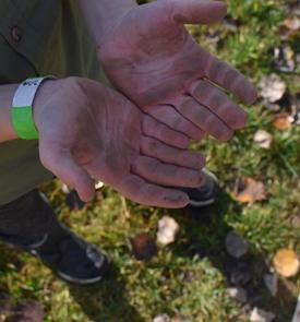 Nadacni fond my trees ruce