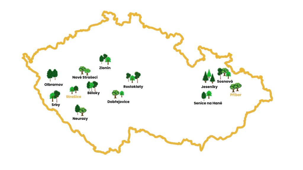 Nadacni fond sazeni trasnp