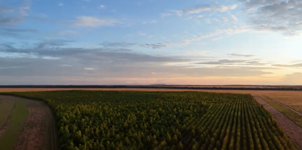 Snimek obrazovky 2025 10 13 232641 1024x511