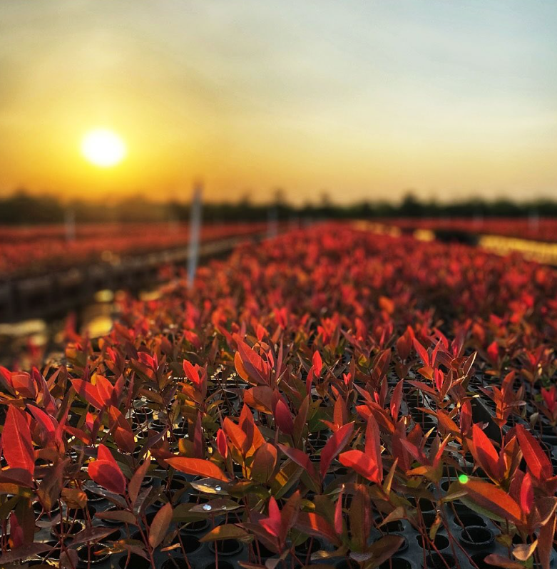 Snimek obrazovky 2025 10 16 223556