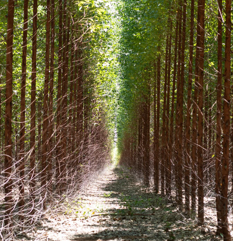 Snimek obrazovky 2025 10 16 223712