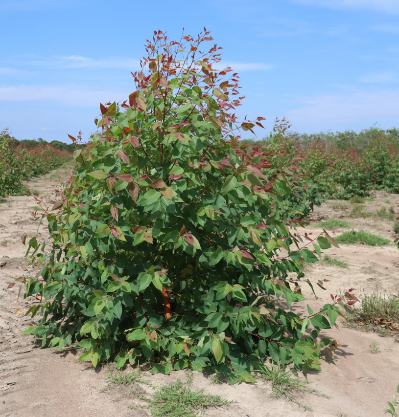 Snimek obrazovky 2025 10 16 223725