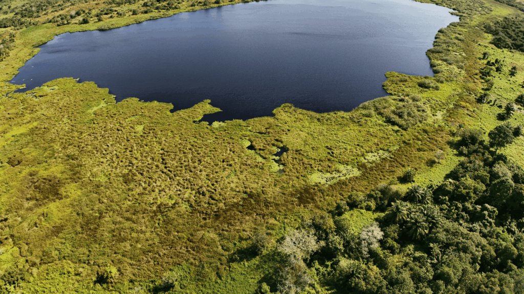 Kibiti 3 tanzana.live