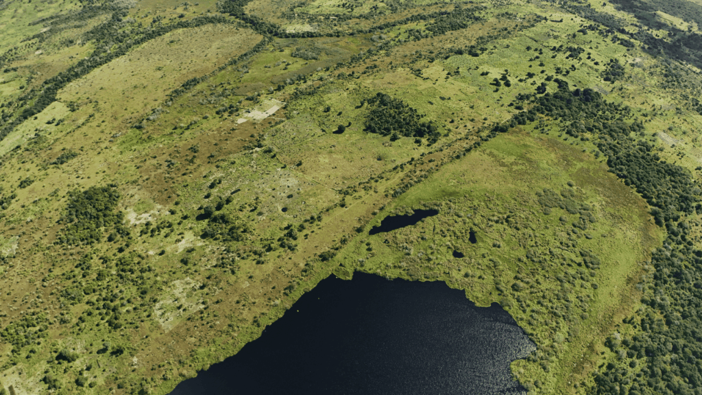 Kibiti 4 tanzana.live